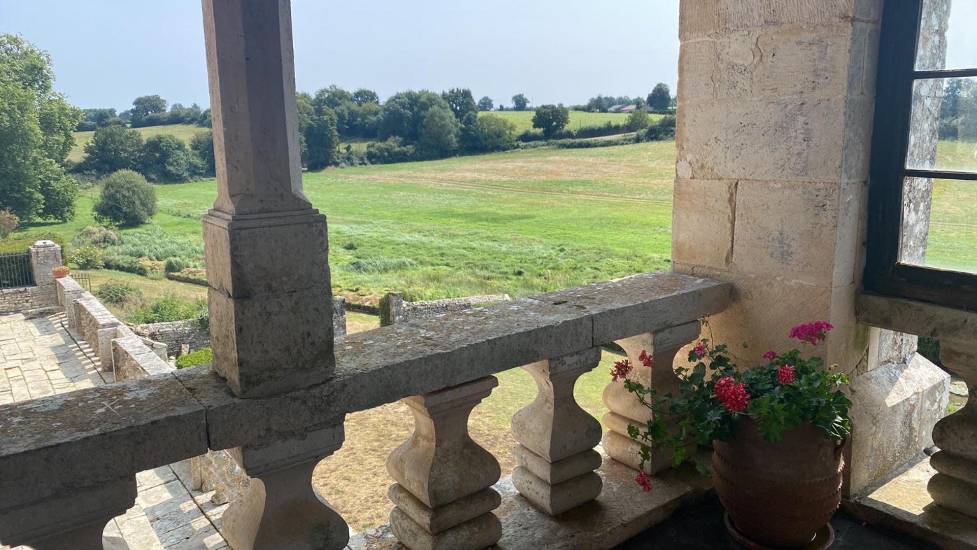 Chateau De Cibioux Surin  Εξωτερικό φωτογραφία